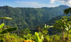 Bukit di Sekitar Senggigi, Potensi Menjadi Rute Trekking