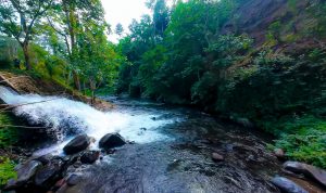 PLN Perkuat Penerapan ESG, Wujudkan Komitmen Energi Hijau Berkelanjutan di NTB